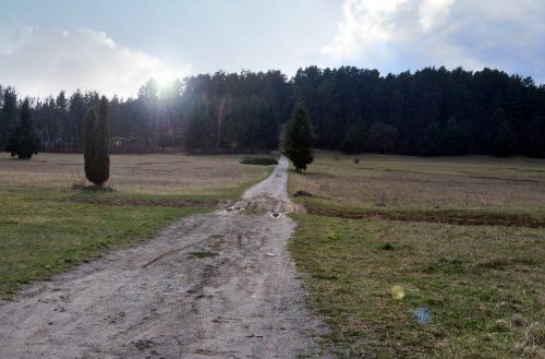 path field this meadow