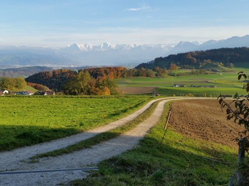 path mountains autumn