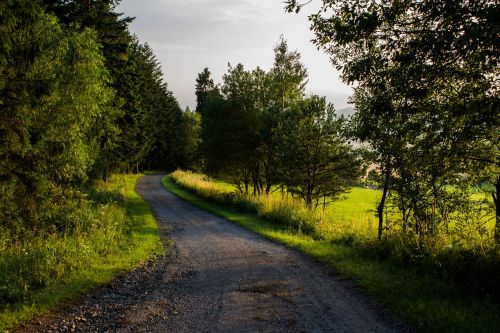 path nature country