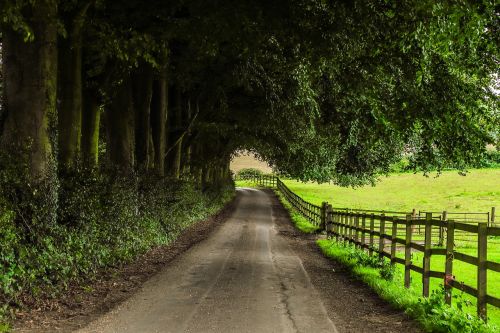 path farm nature