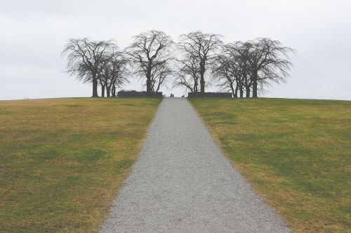 path way trees