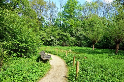 path  footpath  bench