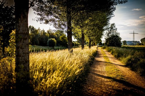 path  sunset  landscape