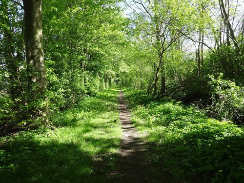 path  landscape  walk