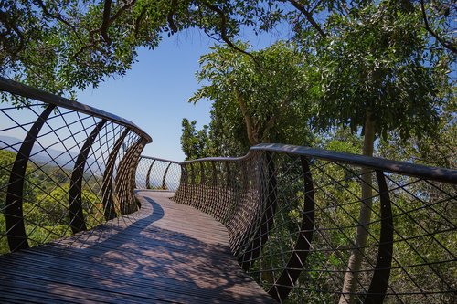 path  walkway  landscape