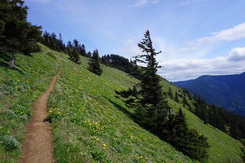 path  hiking trail  mountain side