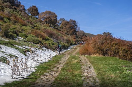 path  autumn  landscape