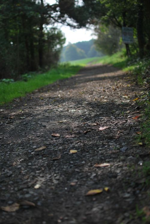 path nature landscape