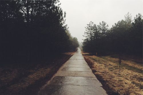 path trail concrete