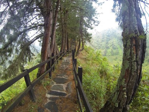 path trail landscape