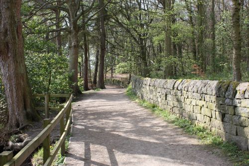 path woods footpath