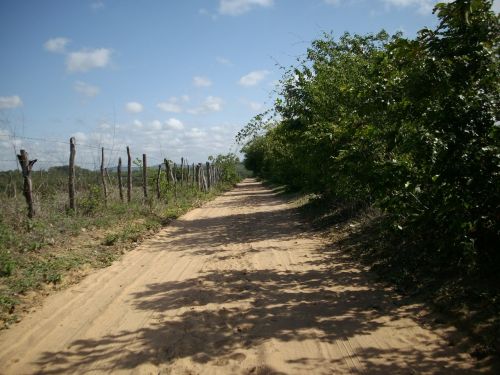 path dirt road about