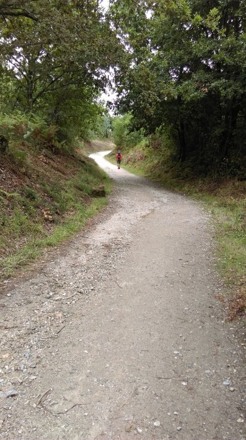 path pilgrim santiago