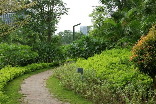 path greenway nature