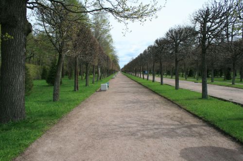 Path In Gardens At Peterfof