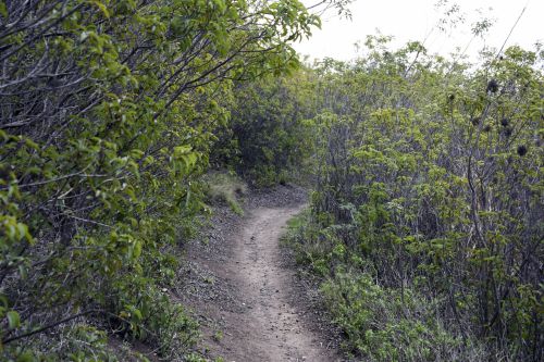 Path Through Hills