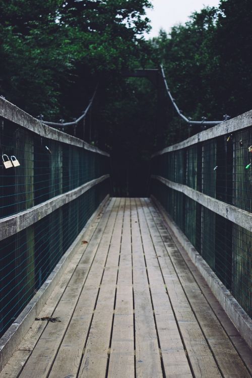 pathway bridge wood
