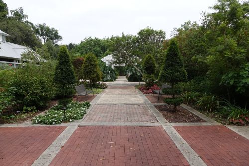 pathway scenery landscape