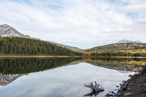 patricia lake lake jasper