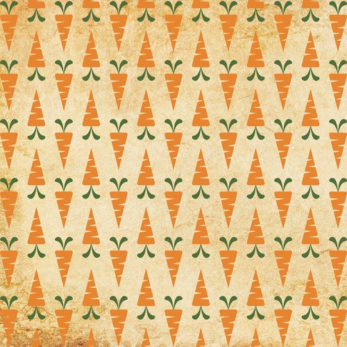 patter  carrot pattern  carrot print