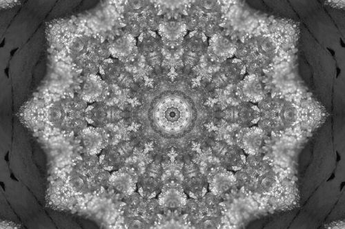 pattern kaleidoscope patterns