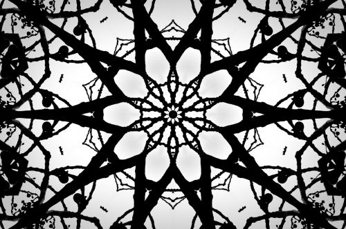 pattern abstract fractal