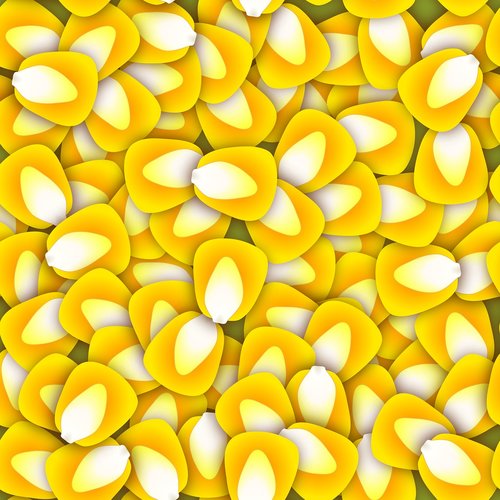 pattern  background  corn kernels