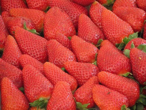 pattern  strawberries  garden