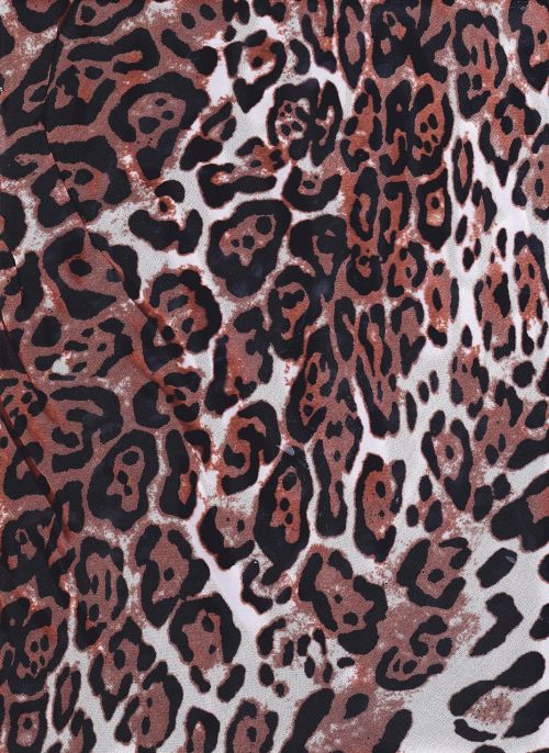 pattern leopard cheetah
