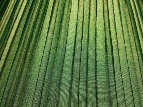 pattern green texture