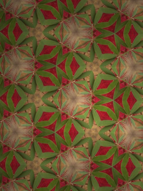 pattern green red