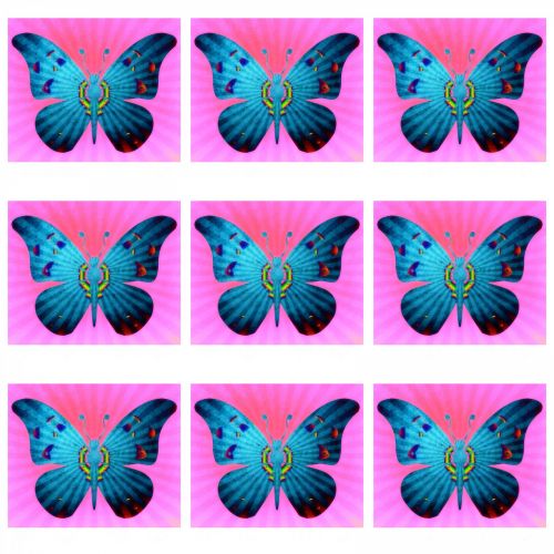 Pattern With Butterfly&#039;s