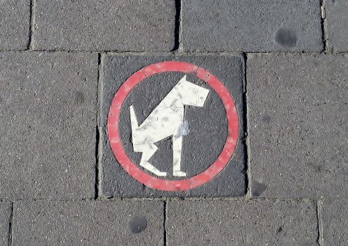 pavement sign dog