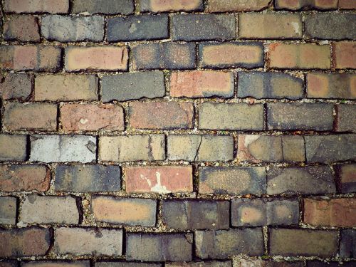 paver path bricks
