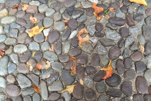 pavers fall leaves