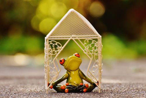 pavilion frog yoga