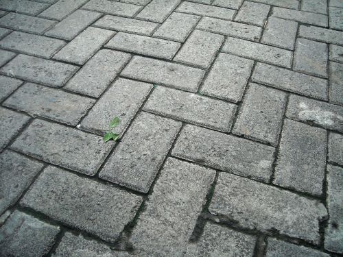 paving block cement box