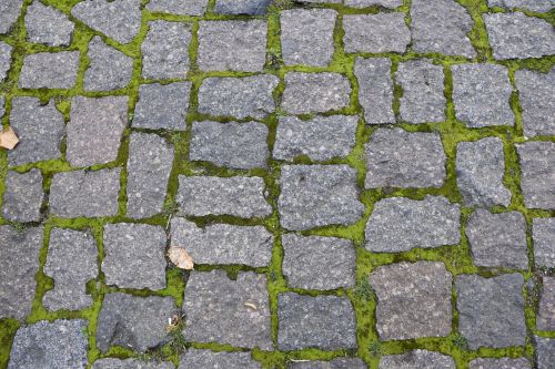 paving stones grass moss