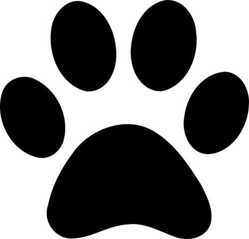 paw footprint animal