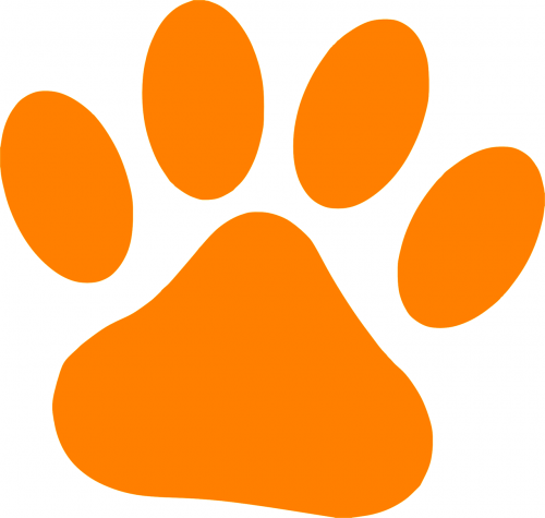 paw cat orange