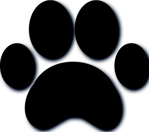 paw dog texture