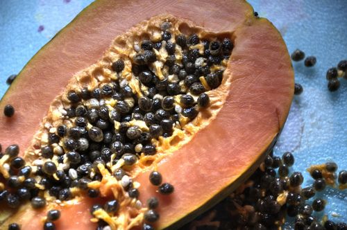 paw paw fruit healthy