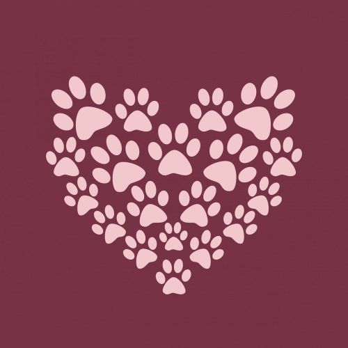 paw print paw prints heart