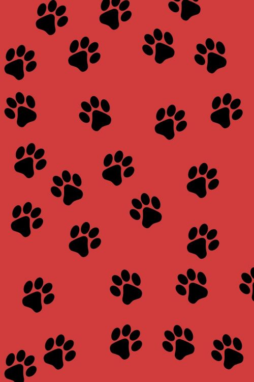 paw prints background animal