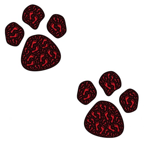 paws prints footprints