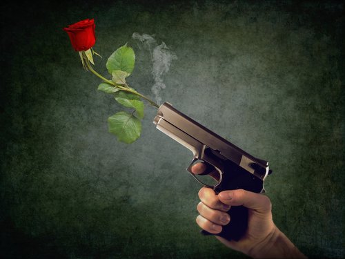 peaceful  non-violent  rose