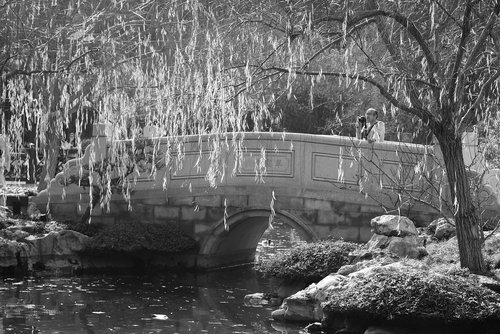 peaceful  bridge  japan