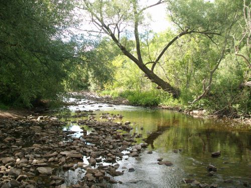 Peaceful River