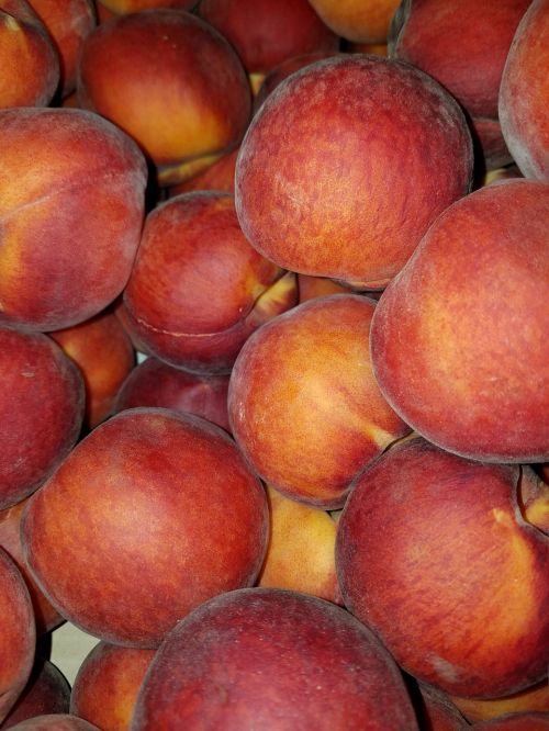 peach peaches elberta