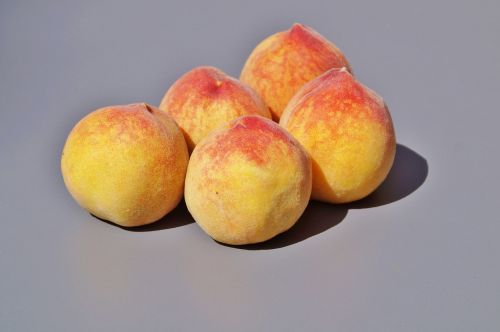 peach fruit pome fruit